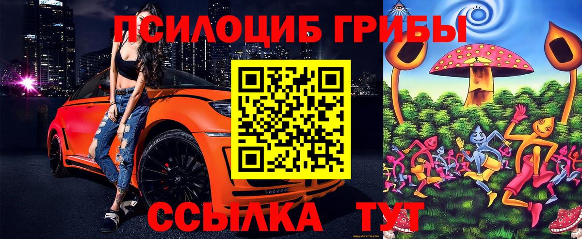 Кохма  Псилоцибиновые грибы ЛСД  Вход с VPN 