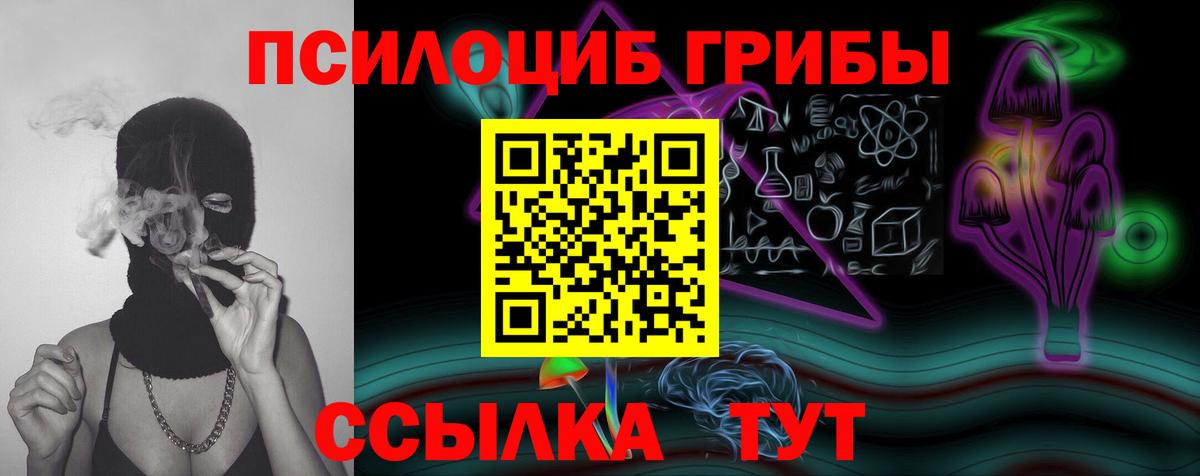 Галлюциногенные грибы прущие грибы Кохма